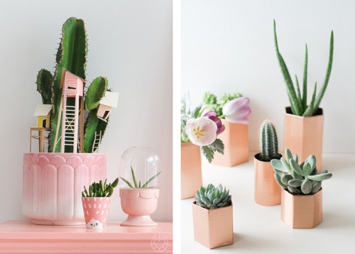 6-decorar-con-cactus